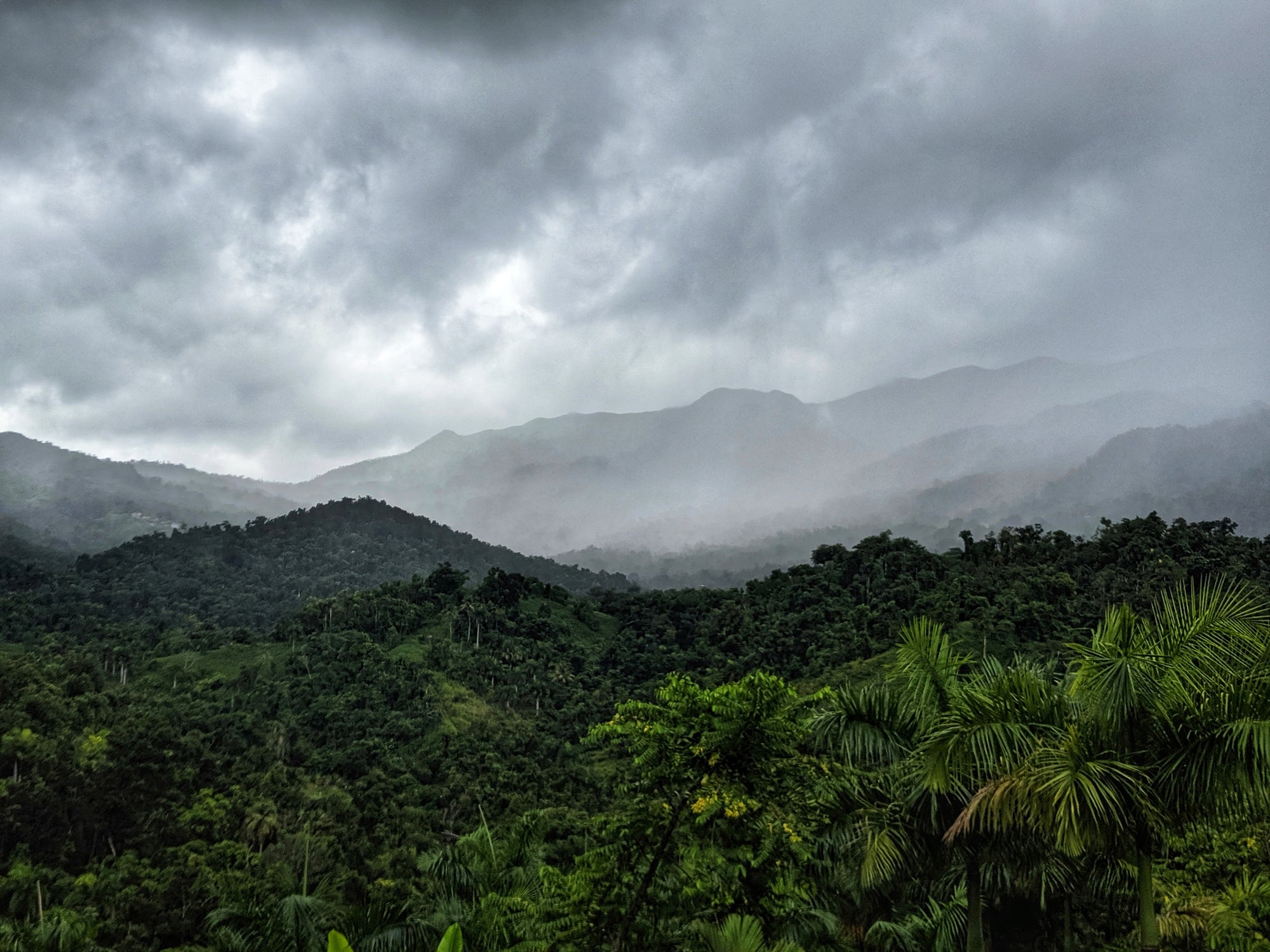 Forested mountains under a cloudy sky in Yuquiyu Farm, Puerto Rico