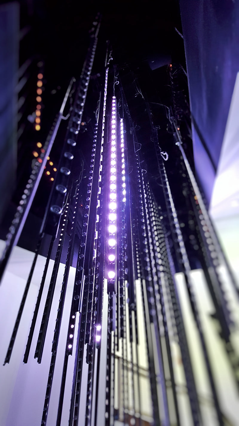 Vertical LED light strips hanging from the ceiling at the Moody Gardens Digital Rainforest installation, glowing in purple and white tones.