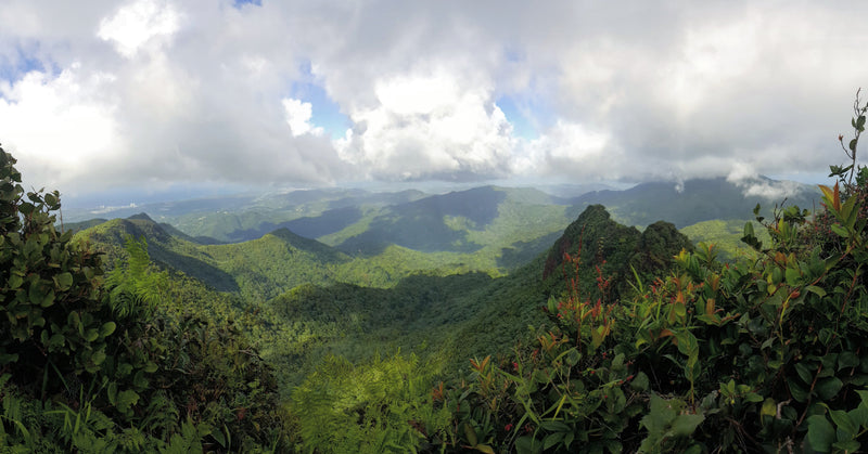 Scenic view of lush green mountains under a partly cloudy sky in El Yunque National Forest, Puerto Rico