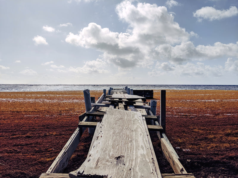 Wooden pier extending into a flat, marshy ocean landscape with a cloudy sky in San Ildefonso, Puerto Rico
